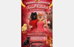 Le club de badminton de MARLES LES MINES
